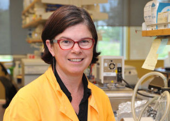WSU’s Leigh Knodler wins prestigious award from Burroughs Wellcome Fund