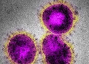 COVID-19/Coronavirus and University Campus Updates