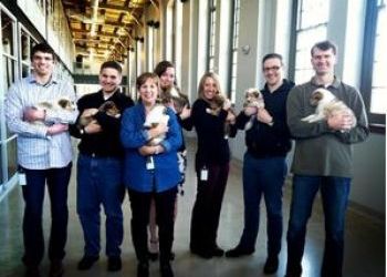 Startup Spotlight: Paw Print Genetics Founder and CEO Lisa Shaffer