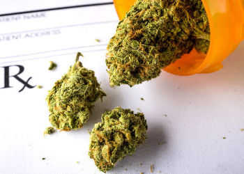 Patients face challenges getting accurate information on medical marijuana WSU Nursing study shows