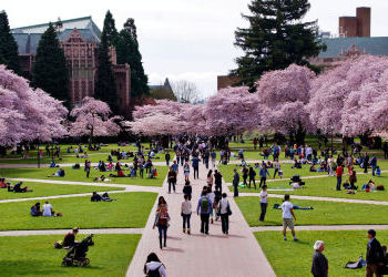 UW is No. 14 in the world