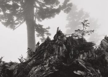 Gonzaga's Jundt Art Museum offers three exhibitions