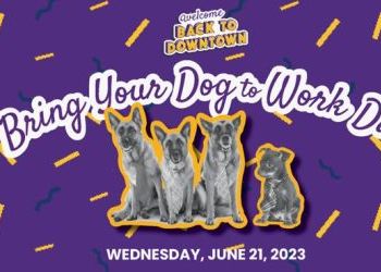 Bring your dog to work day - June 21
