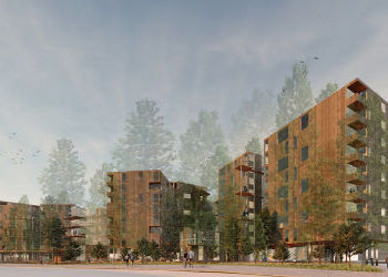 WSU graduate architecture students designing with wood