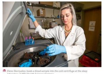 WSU study reveals how shift work disrupts metabolism