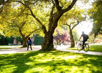 University of Washington earns high marks in international sustainability rating