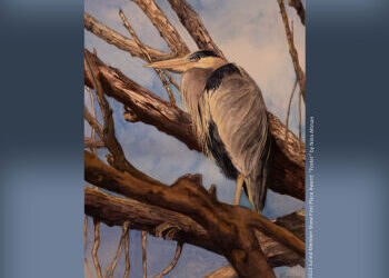 Spokane Watercolor Society  show at Spokane Art School - Sept 6