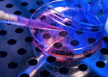 HSSA Funds $240,000 in Immediate Grants to Help Combat COVIF-19 Impacts