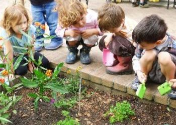 Dirt, rolly-pollies part of WSU Spokane award-winning gardening program