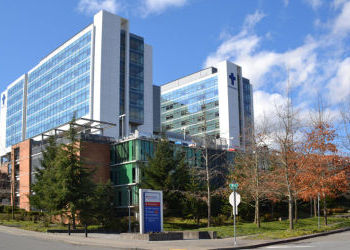 WSU College of Medicine receives accreditation to launch first residency program in Everett