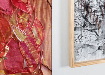 Saranac Art Project May Exhibit - Opening Reception May 3