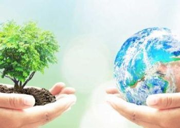 Global Entrepreneurship Month  November 2019