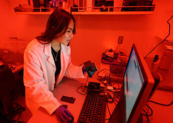WSU Undergrad research program expanding