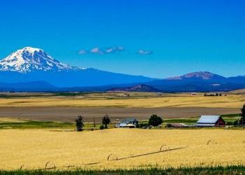 Dept of Commerce Opportunity Zone conference - Nov 15 in Seattle