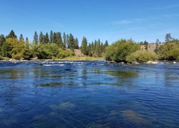 Mayor Condon's Message: Getting to a Cleaner River Faster